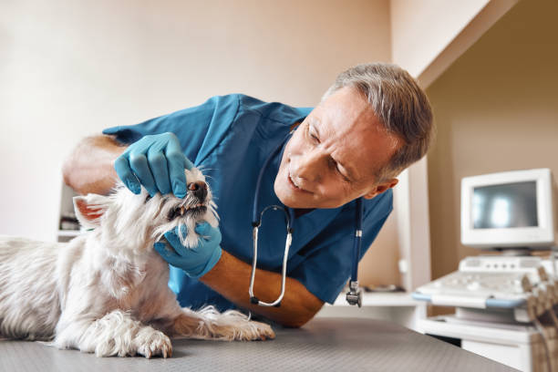 Best Emergency Tooth Extraction in St Helena, CA